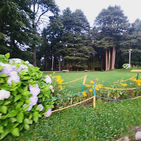 Smarthill Kalatop-Nature'S Heaven Hotel Dalhousie Buitenkant foto