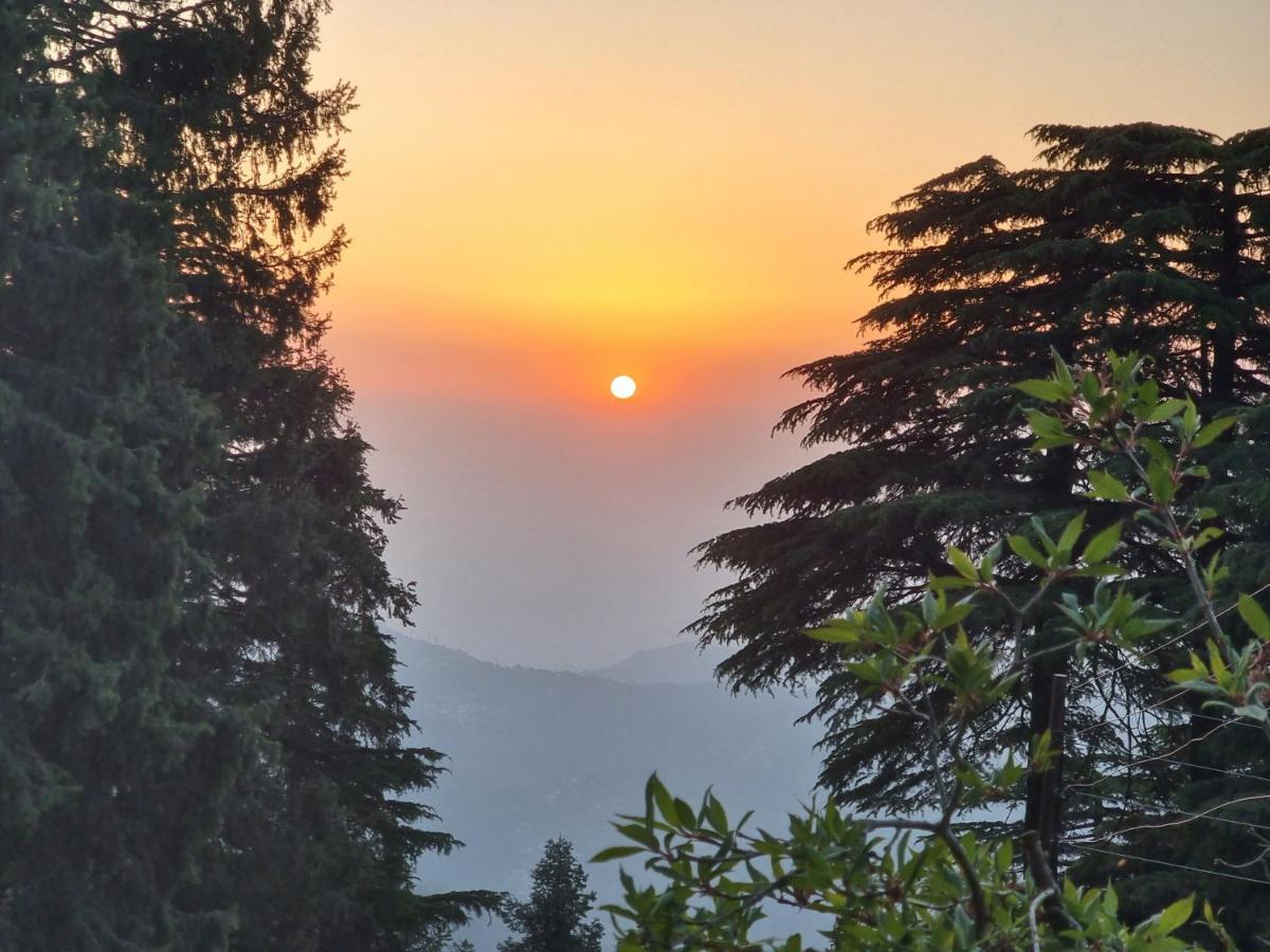 Smarthill Kalatop-Nature'S Heaven Hotel Dalhousie Buitenkant foto