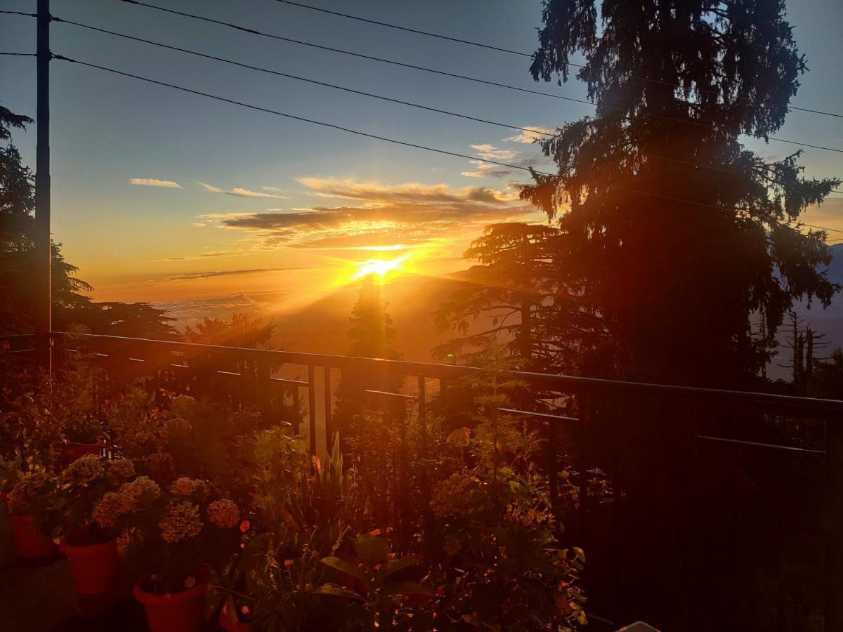 Smarthill Kalatop-Nature'S Heaven Hotel Dalhousie Buitenkant foto