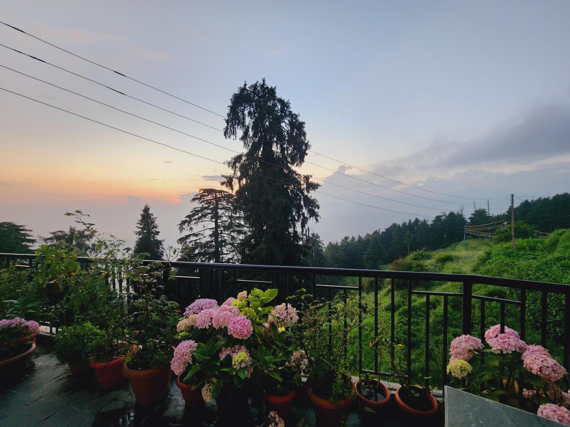 Smarthill Kalatop-Nature'S Heaven Hotel Dalhousie Buitenkant foto