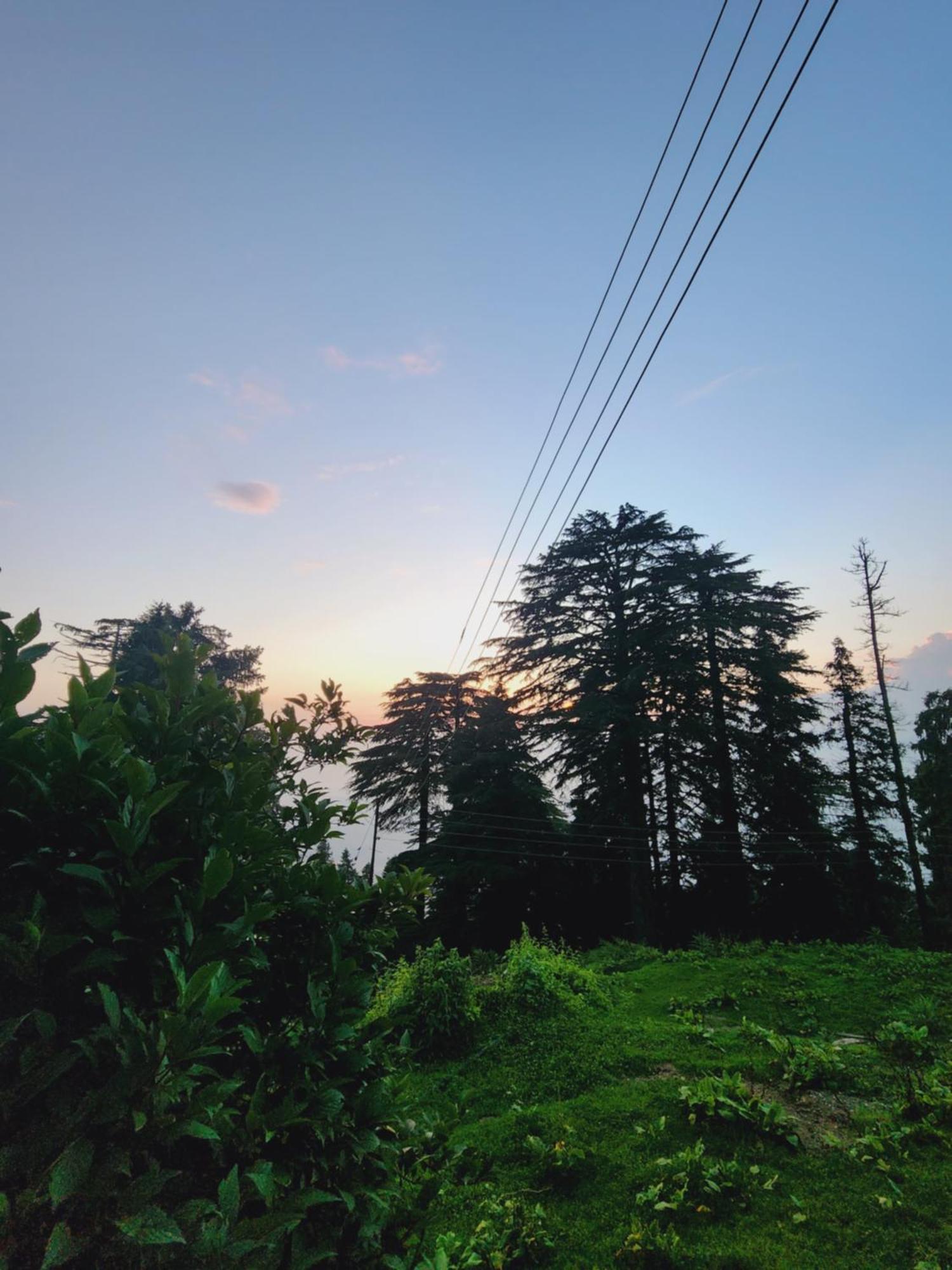 Smarthill Kalatop-Nature'S Heaven Hotel Dalhousie Buitenkant foto