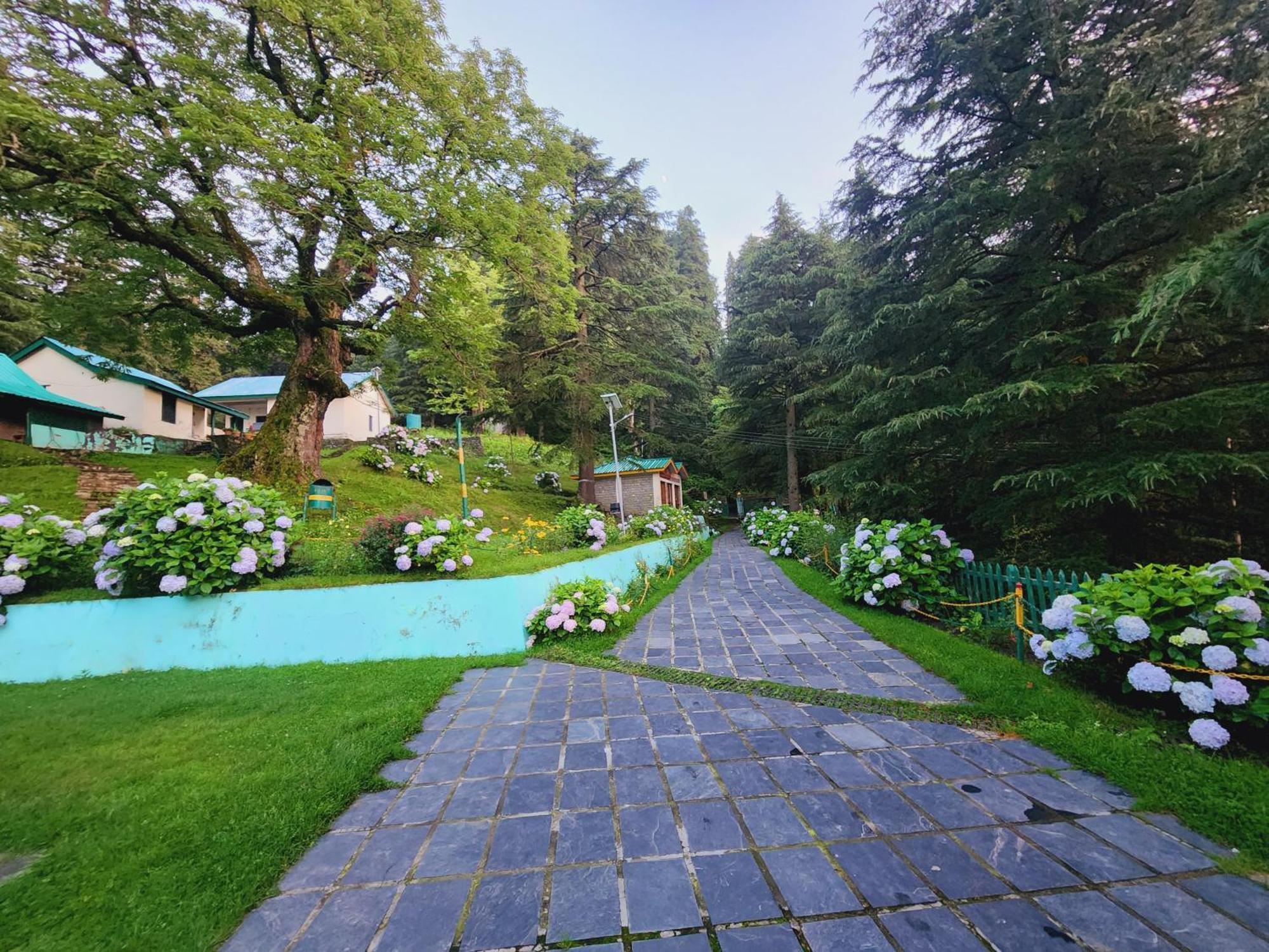 Smarthill Kalatop-Nature'S Heaven Hotel Dalhousie Buitenkant foto