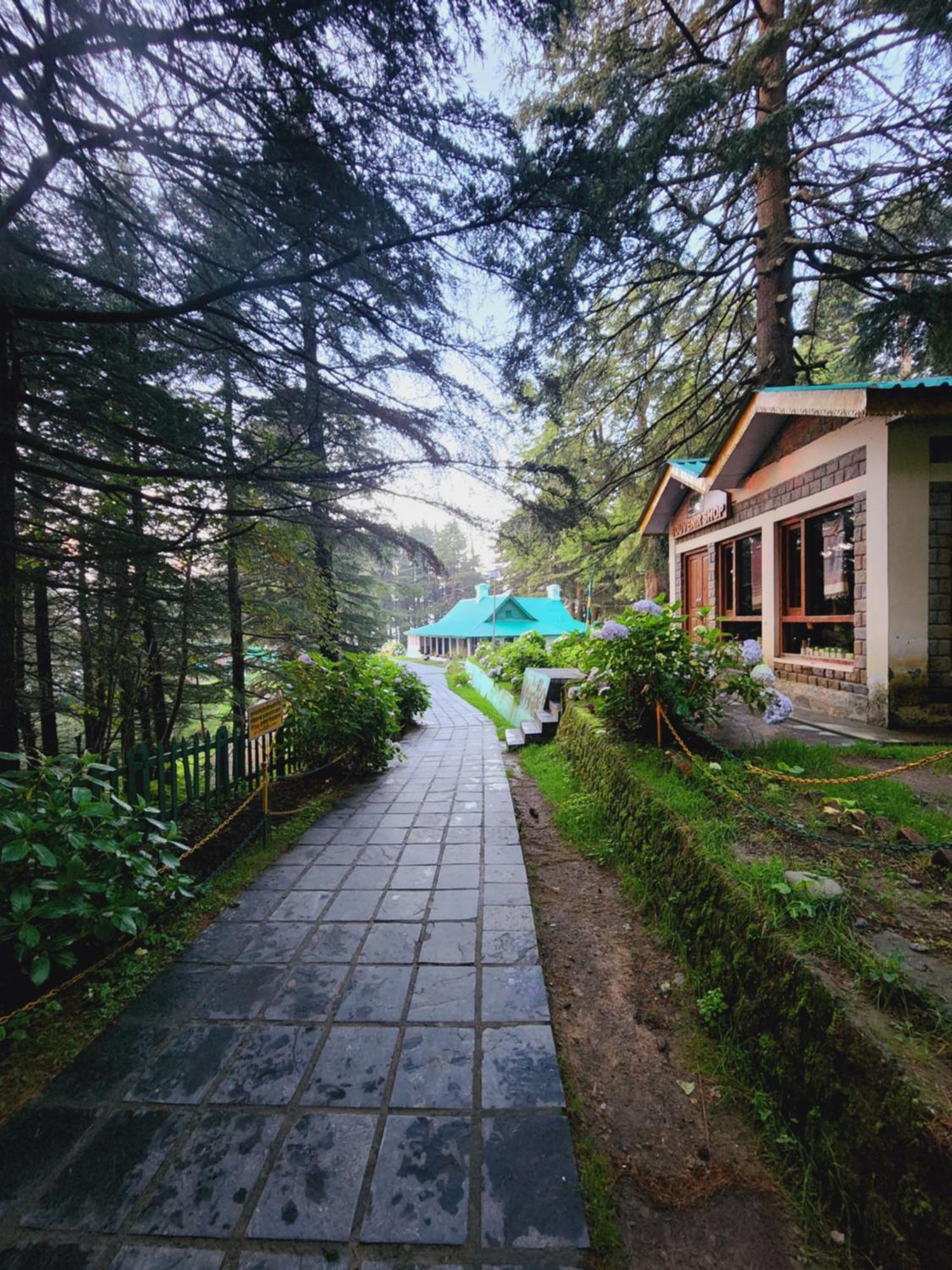 Smarthill Kalatop-Nature'S Heaven Hotel Dalhousie Buitenkant foto