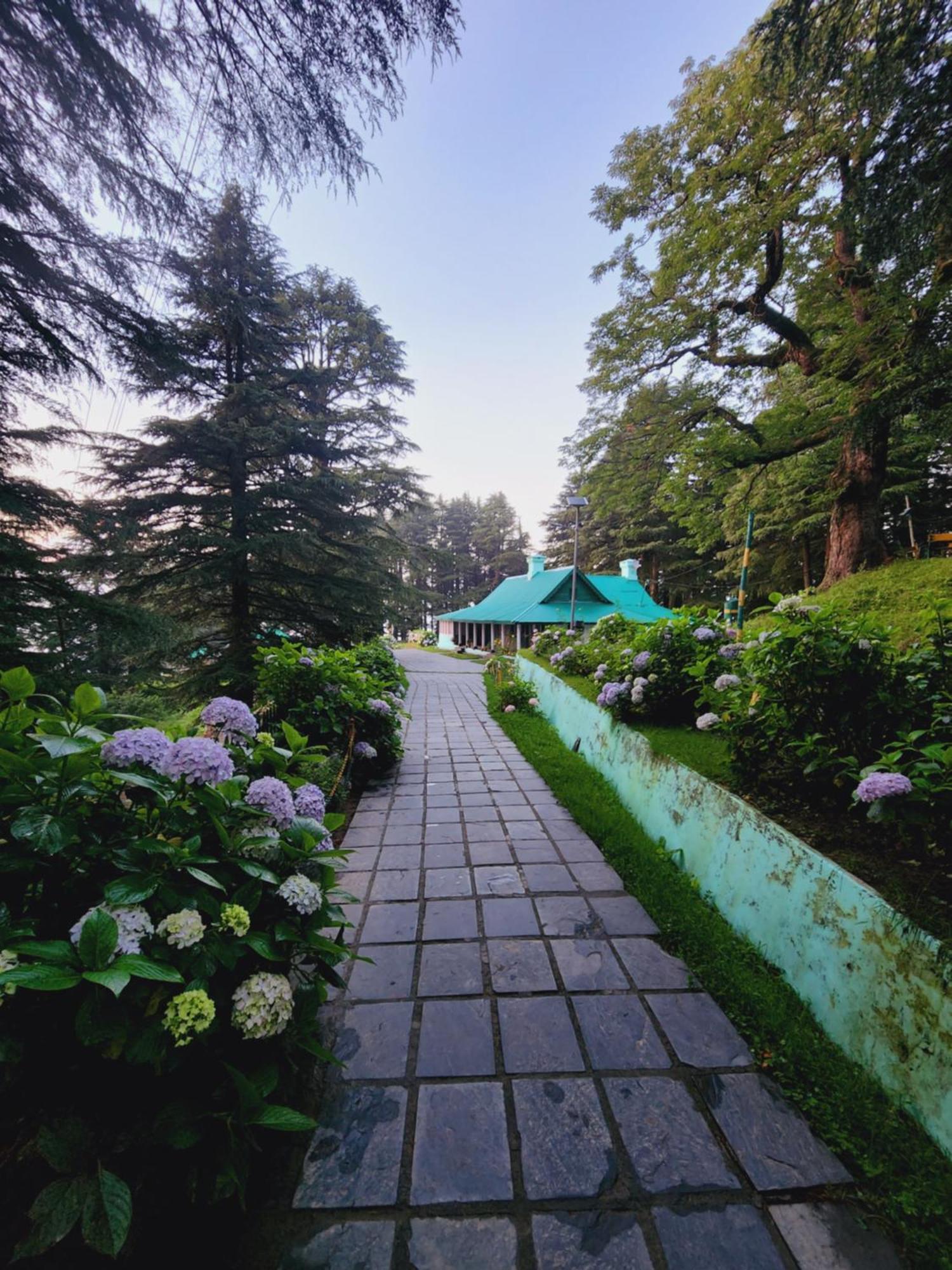 Smarthill Kalatop-Nature'S Heaven Hotel Dalhousie Buitenkant foto