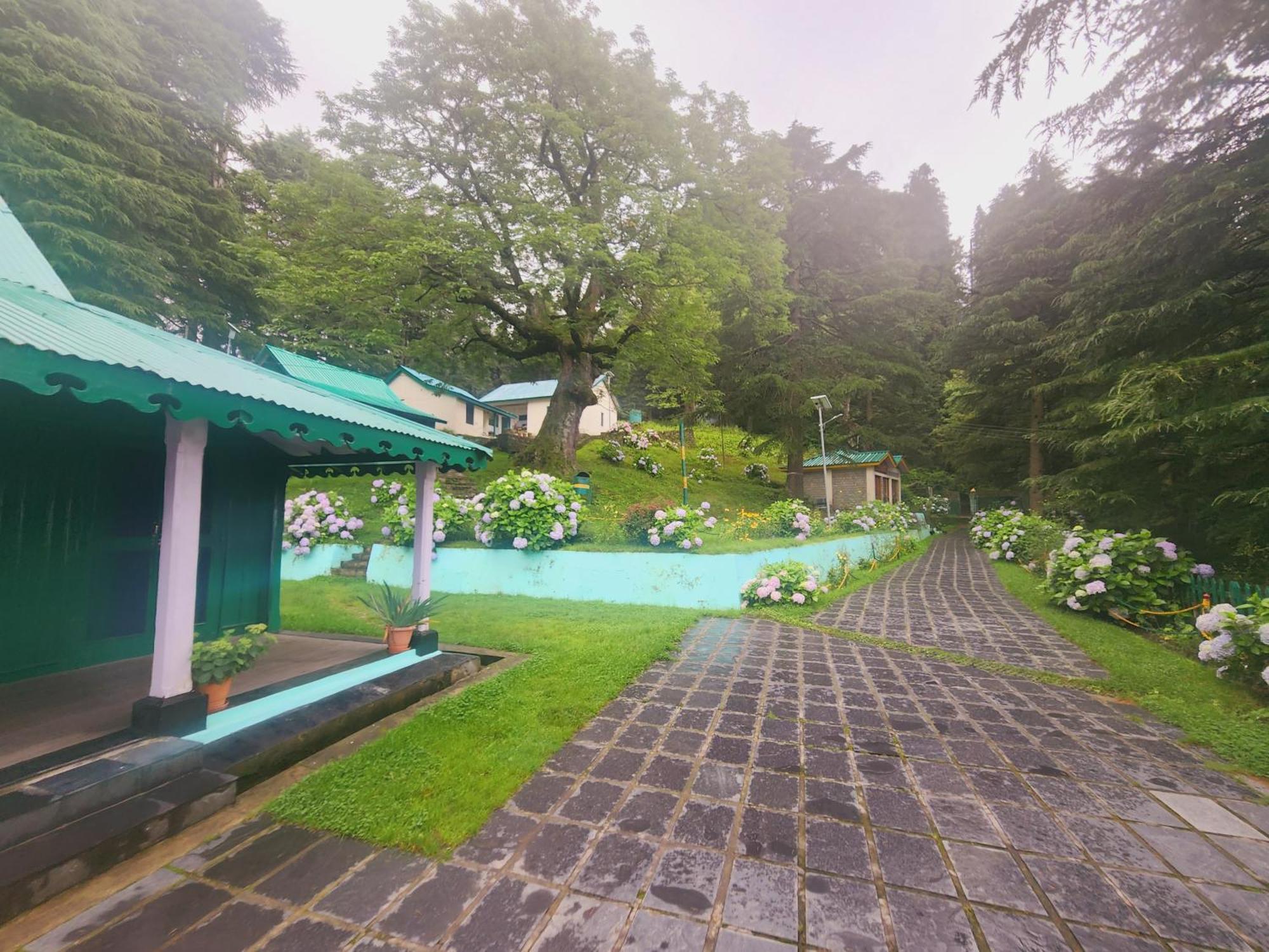 Smarthill Kalatop-Nature'S Heaven Hotel Dalhousie Buitenkant foto