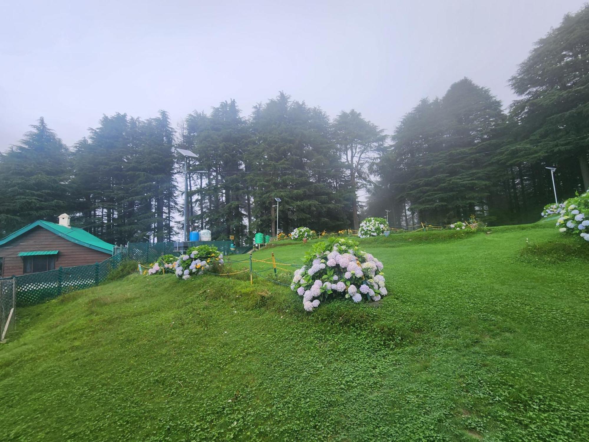 Smarthill Kalatop-Nature'S Heaven Hotel Dalhousie Buitenkant foto