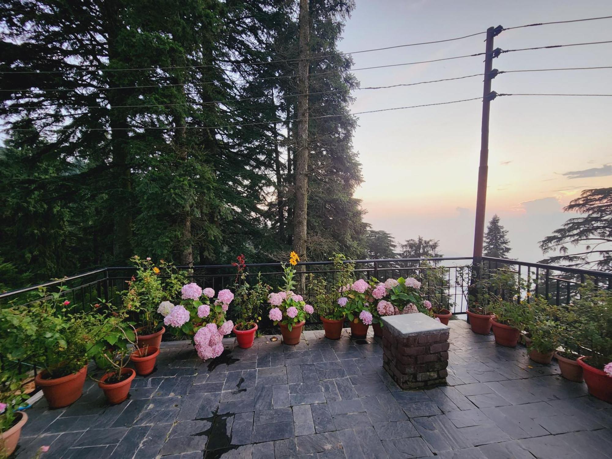 Smarthill Kalatop-Nature'S Heaven Hotel Dalhousie Buitenkant foto