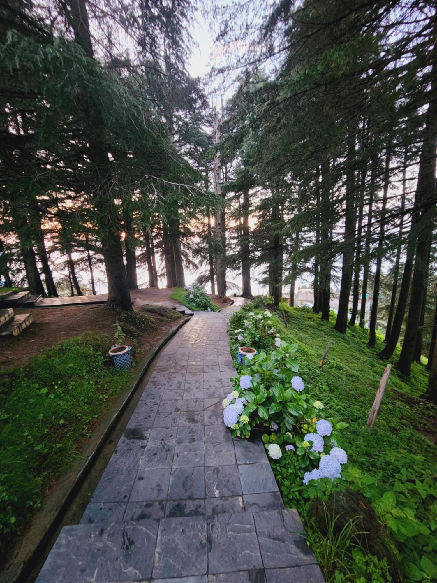 Smarthill Kalatop-Nature'S Heaven Hotel Dalhousie Buitenkant foto